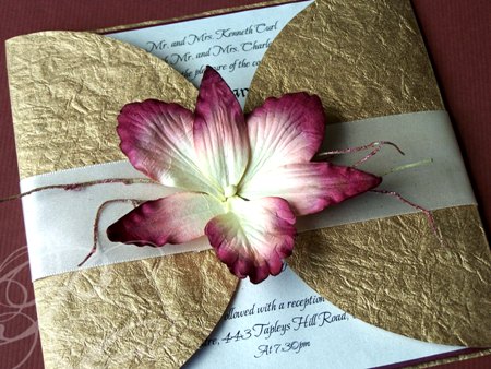 Orchid